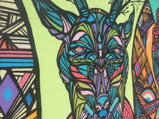 Where on earth is Daniel Anguilu?