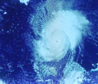 Penske Weathered Irene, Focused on Customer Service