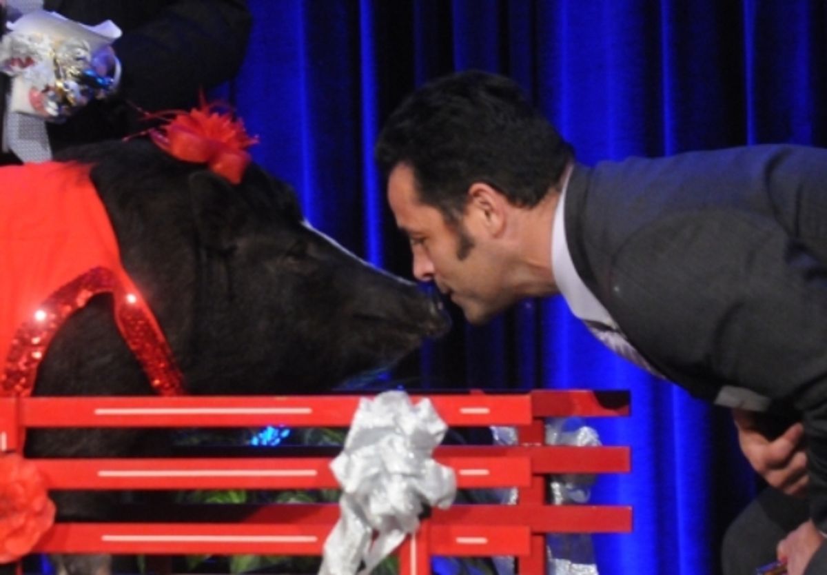 Penske’s VP Named Top Fundraiser, Wins Smooch with Pig