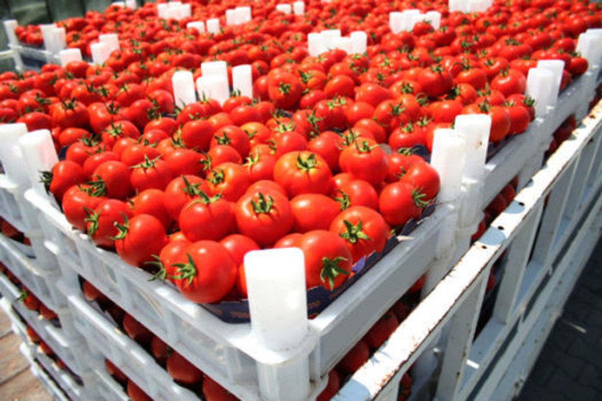A Growing Number of Countries Turn to Mandates to Reduce Food Waste