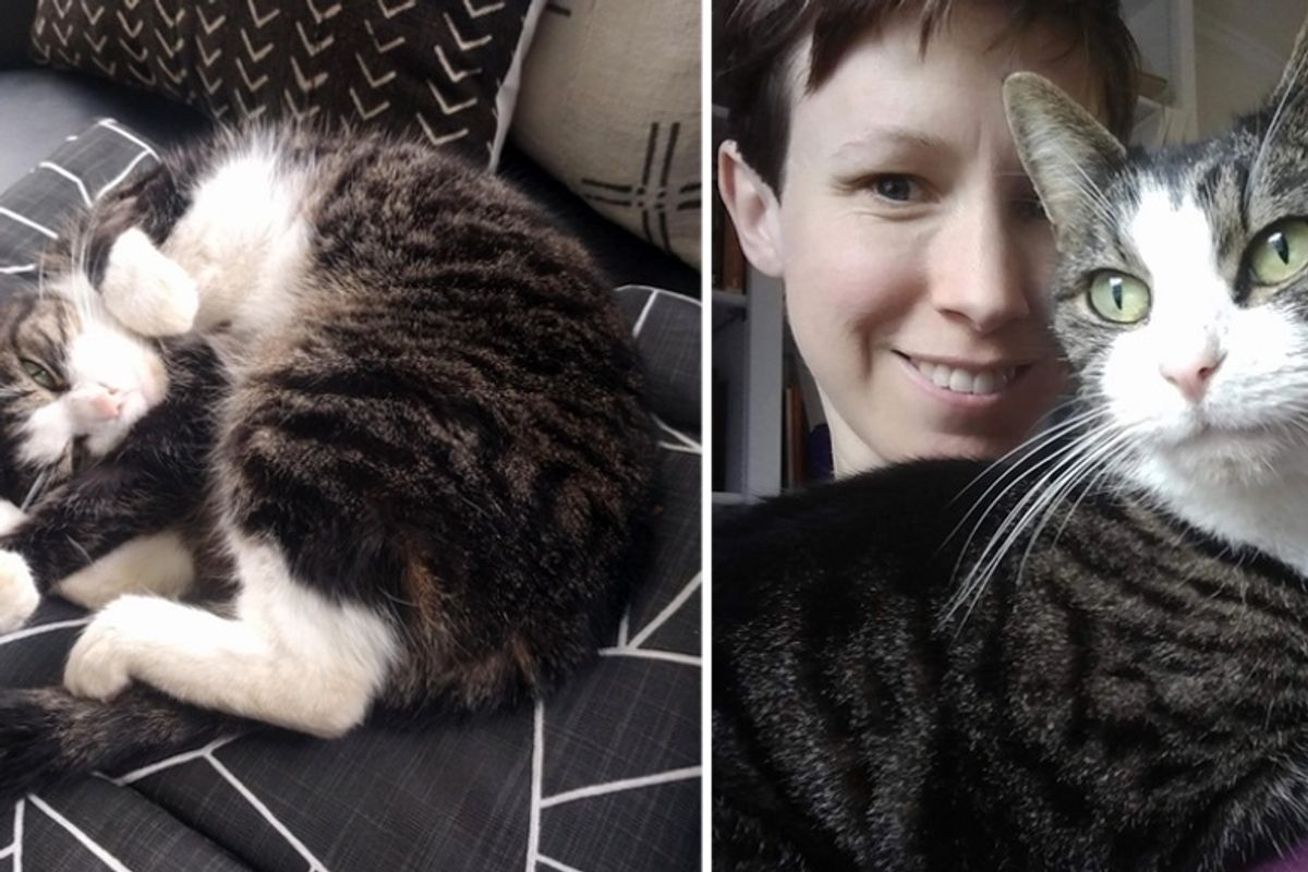 Couple Discovers Their New Home Comes with Cat Who Has Lived There All Her Life
