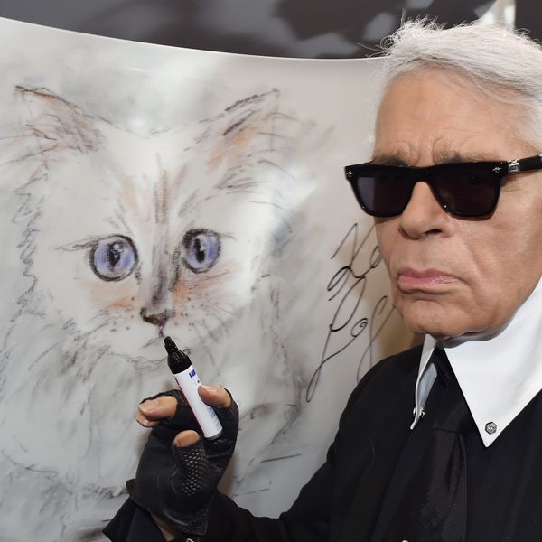 Karl Lagerfeld's Cat Will Likely Not Inherit Millions
