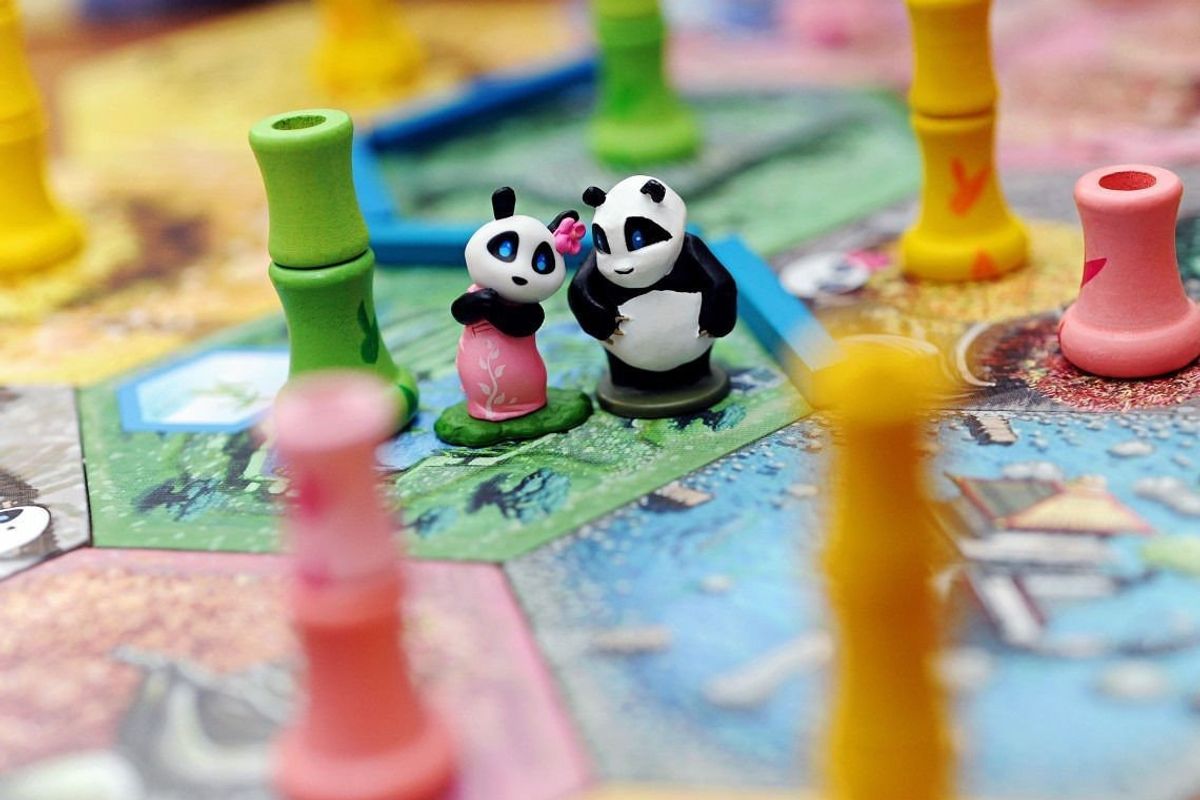 Takenoko close up