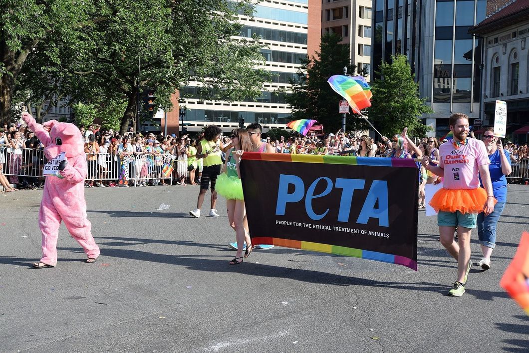 PETA Is The Worst Thing To Ever Happen To Animal Rights