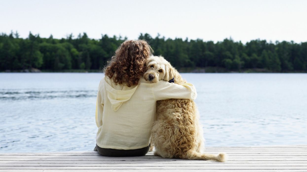 Yes, You And Your Dog Are Actually In Love With Each Other, According To A New Study