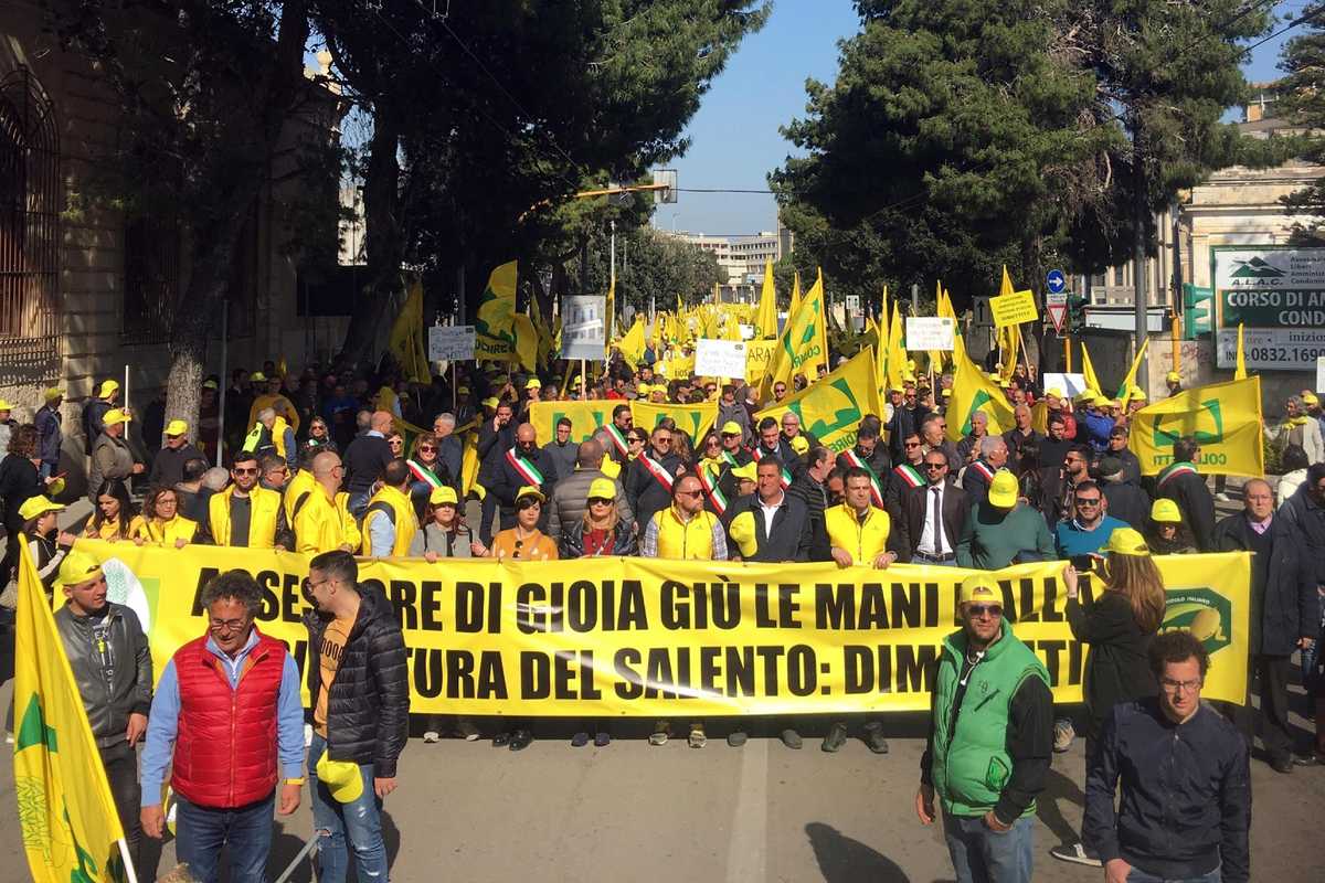 Invece di pensare agli agricoltori Coldiretti chiede nuovi immigrati