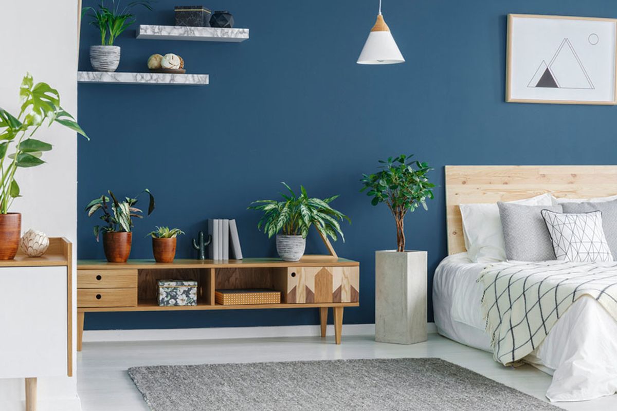 A blue bedroom is filled with plants and home decor