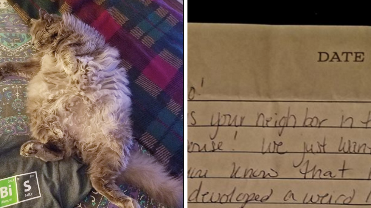 Cat Returns To Owner With An Adorable Note From His Neighbors