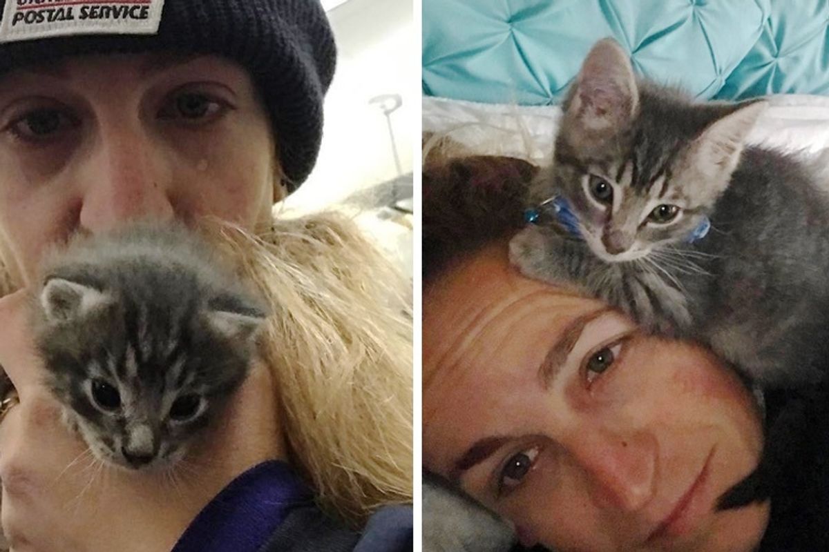 Postal Worker Saves Stray Kitten and Gives Him a Home, the Kitty Can't Stop Cuddling Her