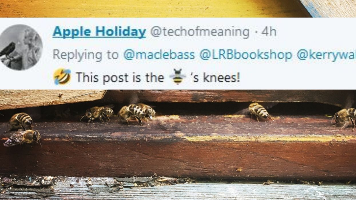 Some Random Guy Left A Jar Of Bees In A Bookstore, And Twitter Was Buzzing With Jokes