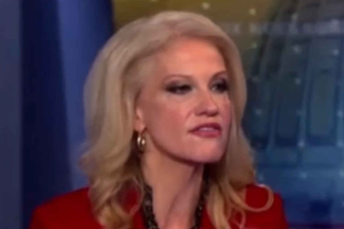George And Kellyanne Conway Fighting Again, About How Her Boss Is Psychopath Who Will Kill Us All
