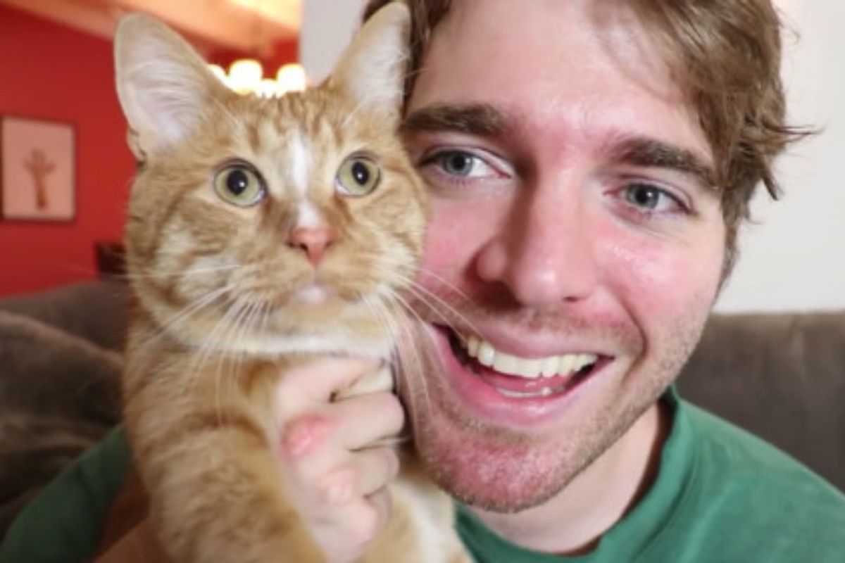 Shane dawson holding his cat