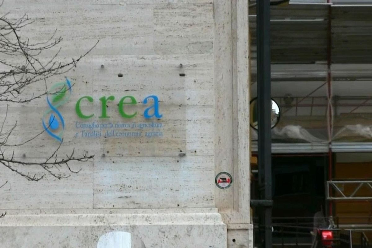 Palazzi, spese pazze e stipendi d’oro. Che mangiatoia la ricerca agraria