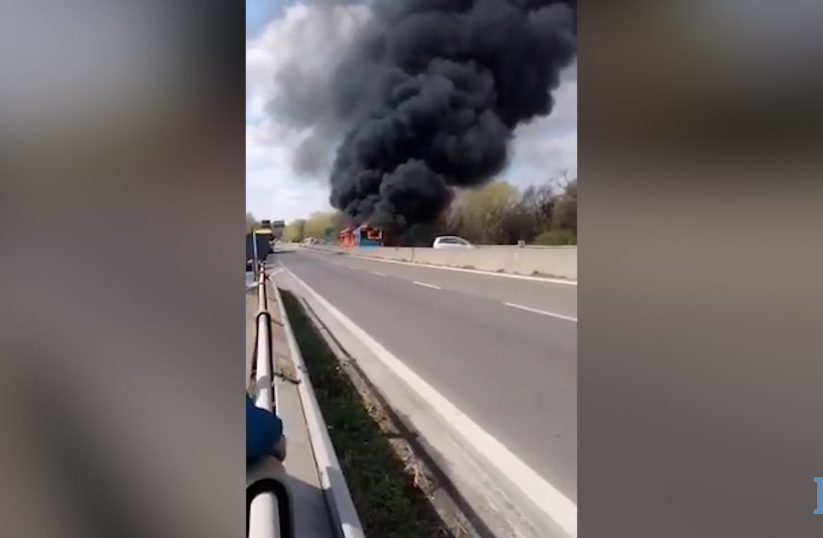 Autista senegalese dirotta pullman con a bordo 51 bambini: «Oggi da qui non esce vivo nessuno»