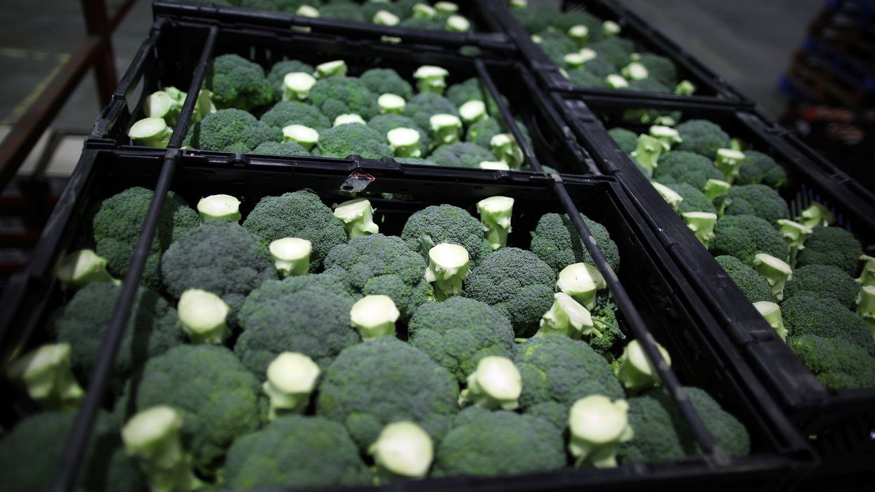 Tractor-trailer overturns, spills 40k pounds of broccoli on Atlanta freeway