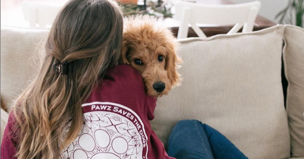 15 Ways To Know You're Obsessed With Dogs