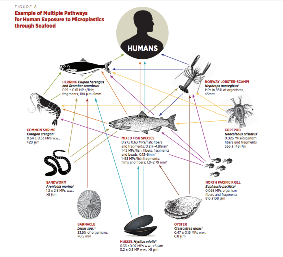 Plastic Threatens Our Health From Before Production To Long After It S Thrown Away Report