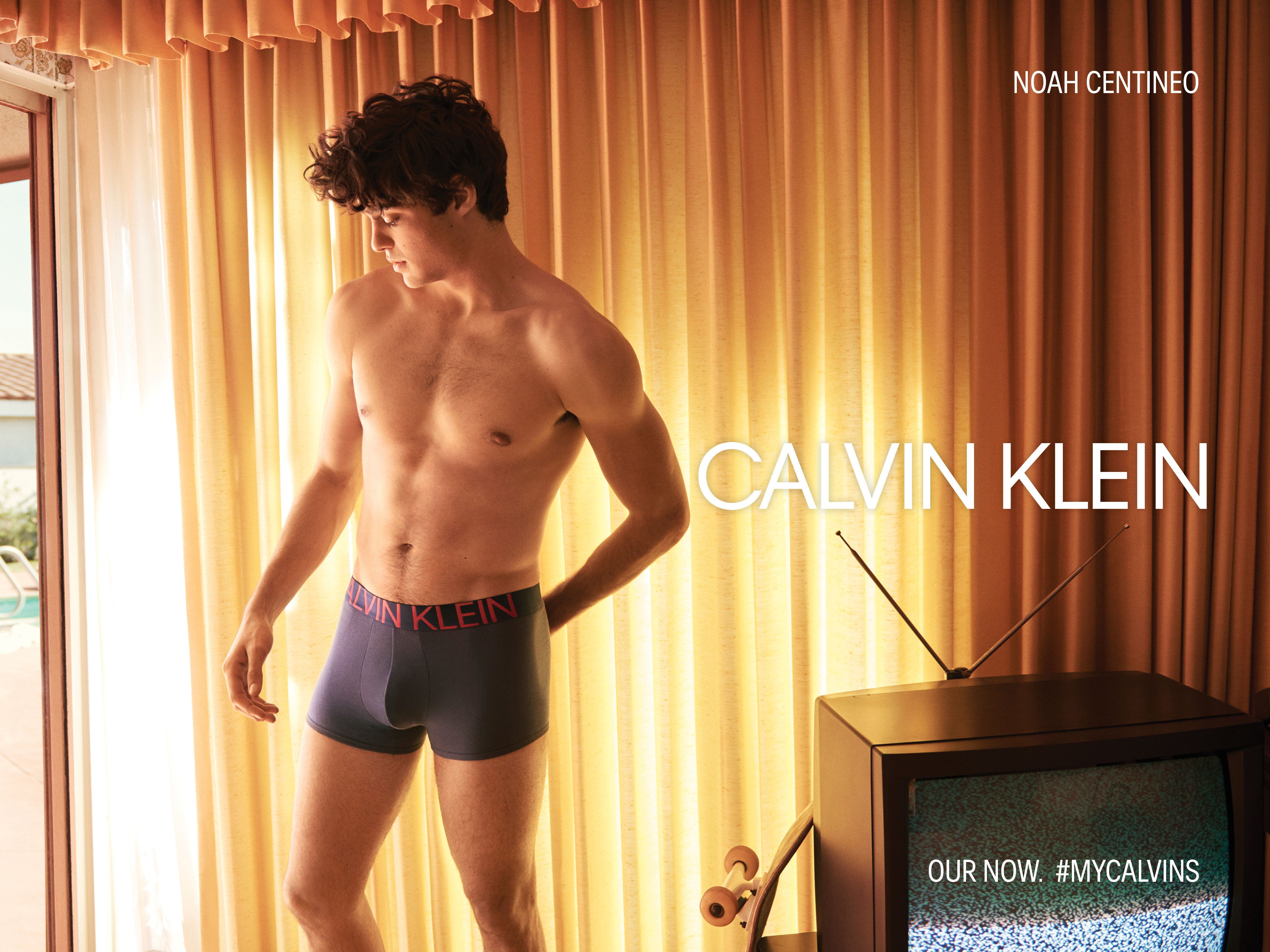 shawn mendes my calvins