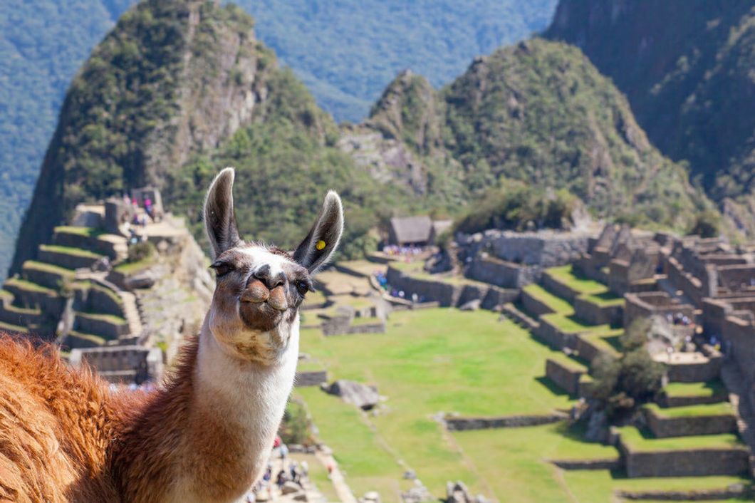 5 Trips You Need To Take In South America