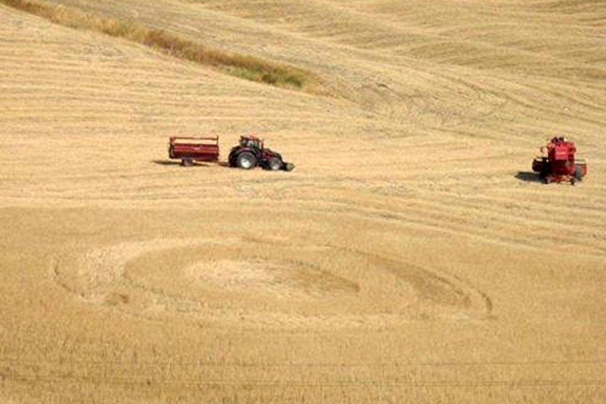 Niente ironie sul «podere al popolo». Premiare la vita con la terra è giusto