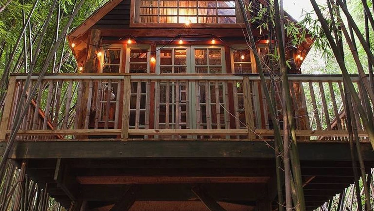 You can spend the night in this dreamy treehouse in Atlanta