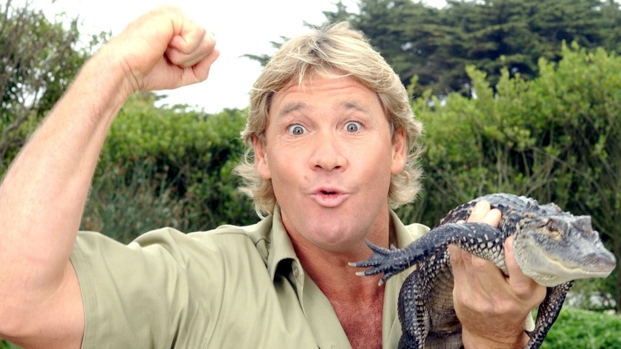 Google Is Honoring Steve Irwin On His Birthday With An Awesome Google Doodle