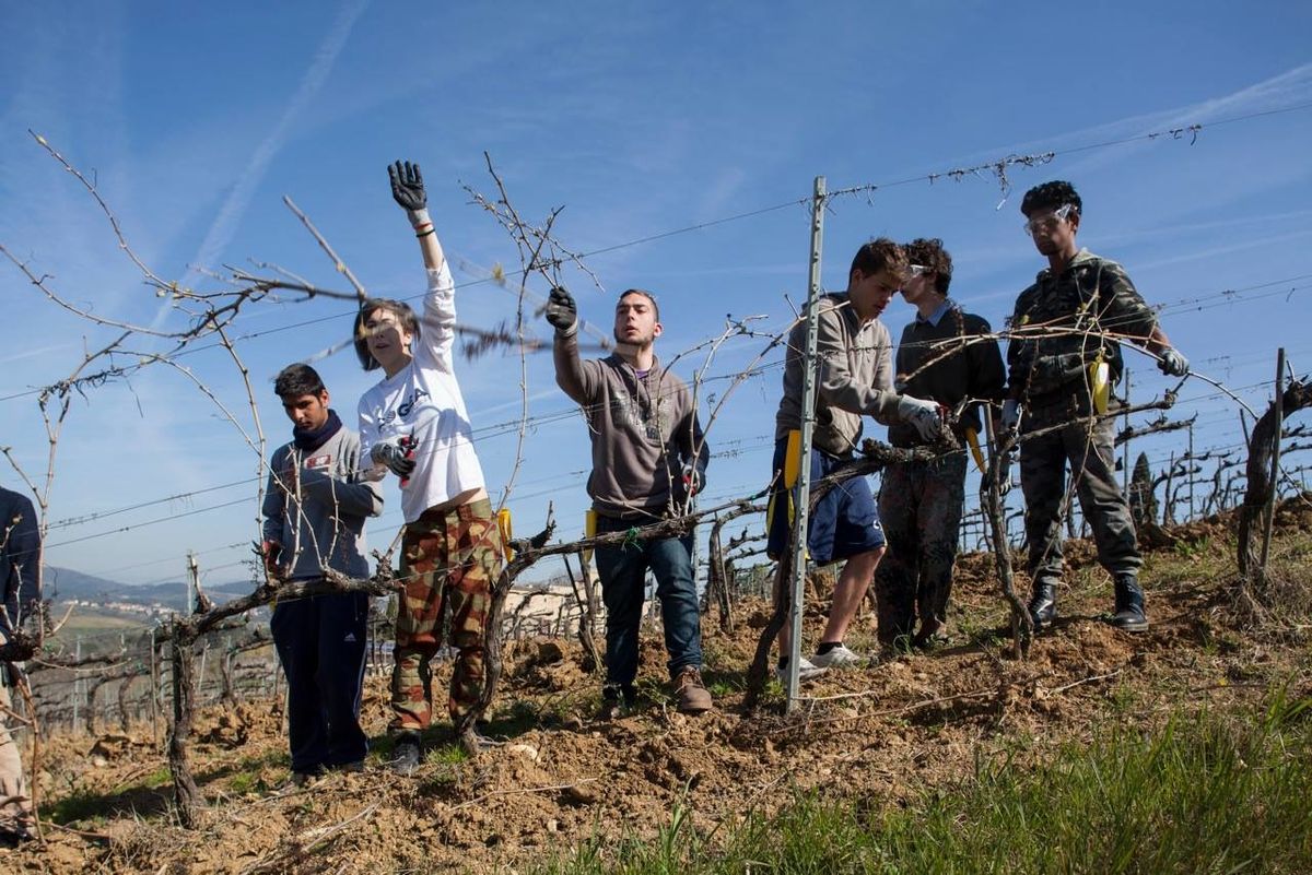 «Con zappe e trattori insegno la legalità»