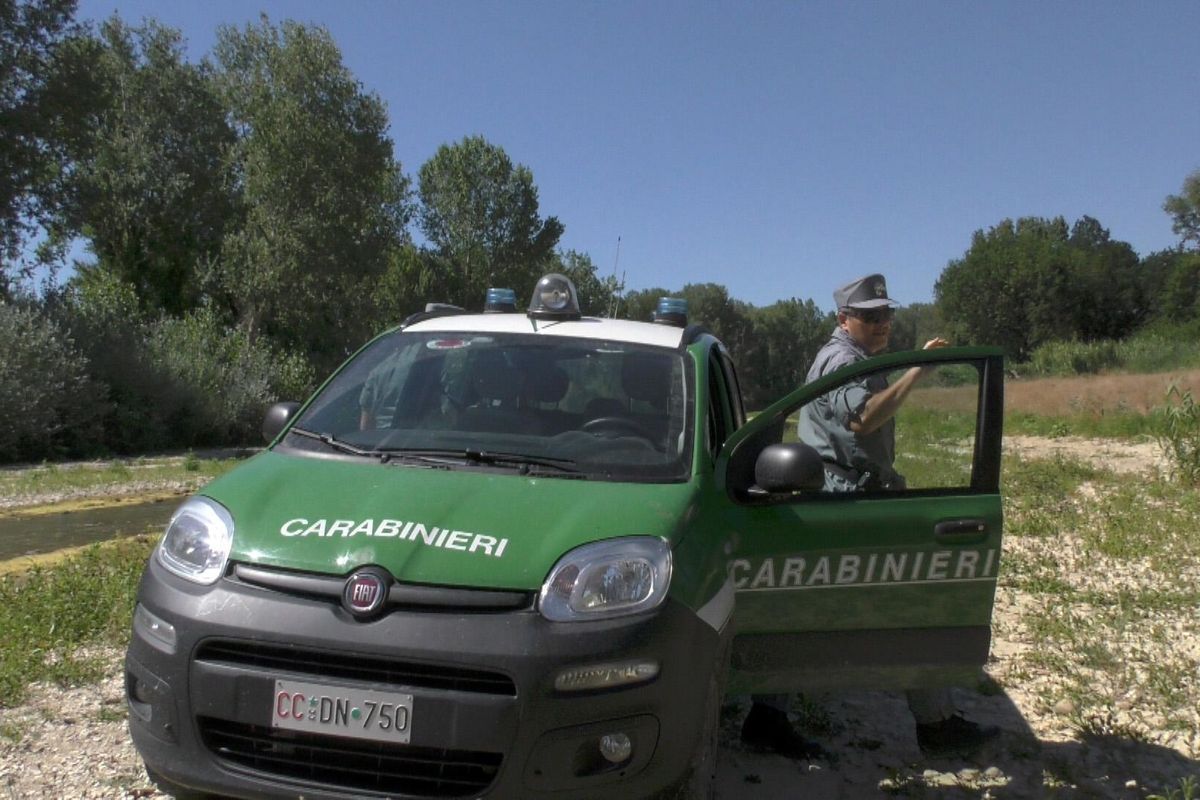 Grazie a Renzi il concorso per il corpo forestale è diventato un'odissea