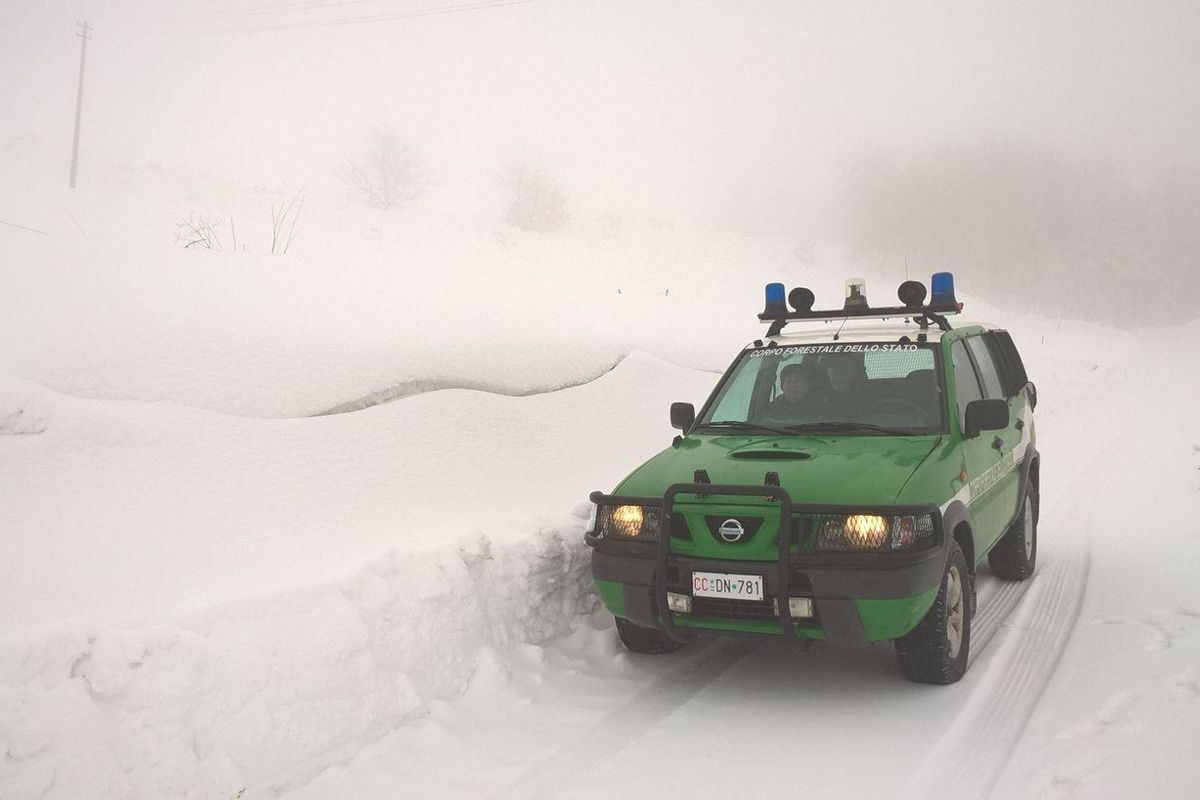 Il Tar boccia l’abolizione della Forestale imposta dalla Madia