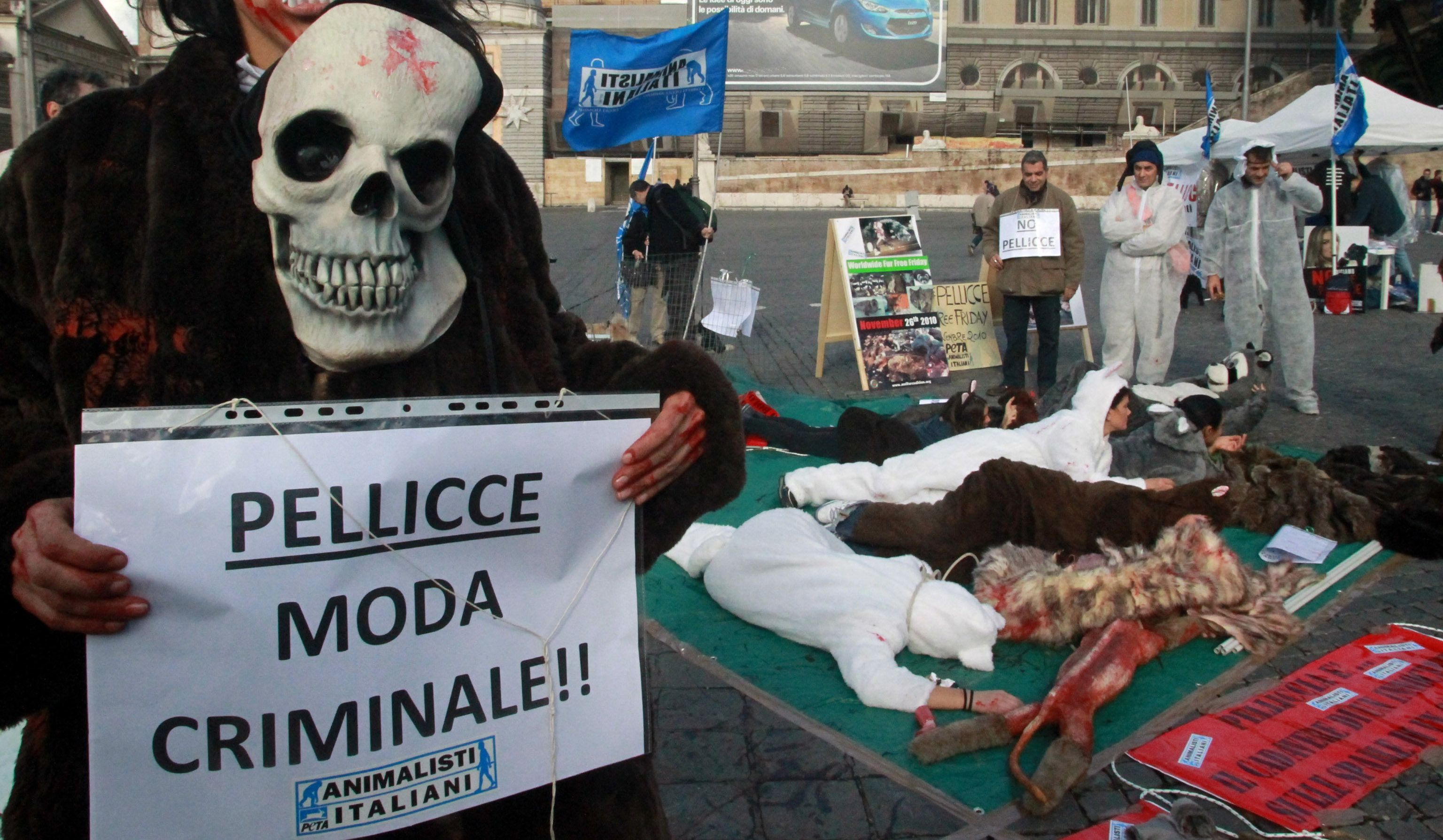 È giusto essere amici degli animali ma oggi è meglio difendere gli uomini