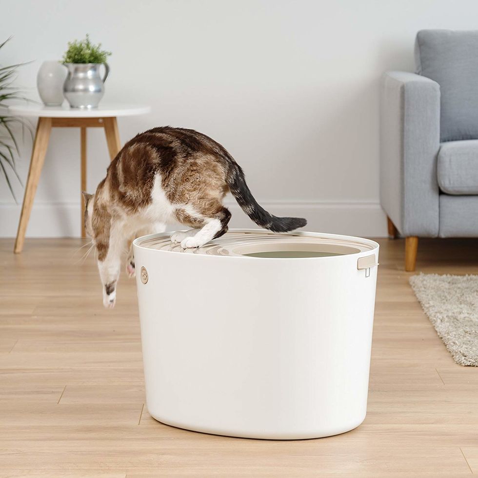 5-best-litter-boxes-topdust