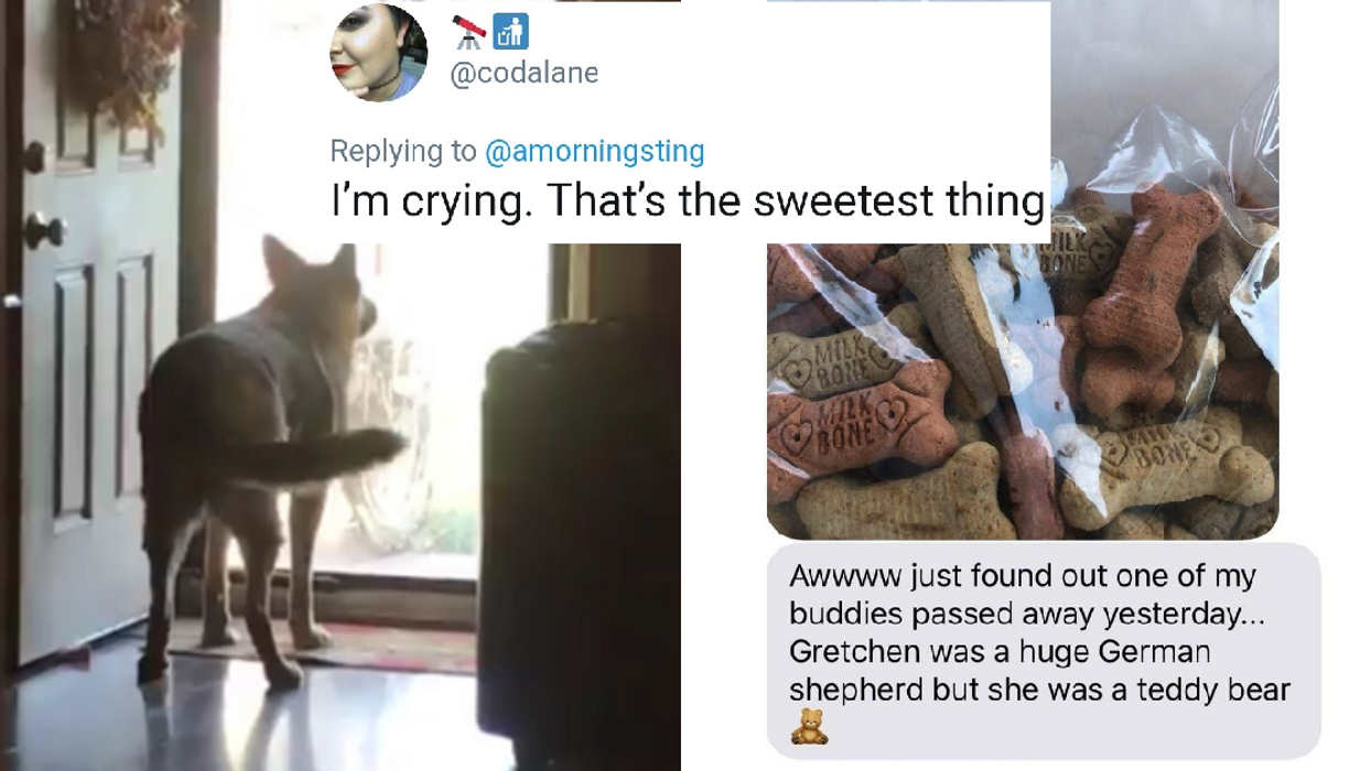 Daughter Of Mailman Shares The Emotional Note He Received After One Of The Dogs On His Route Passed Away