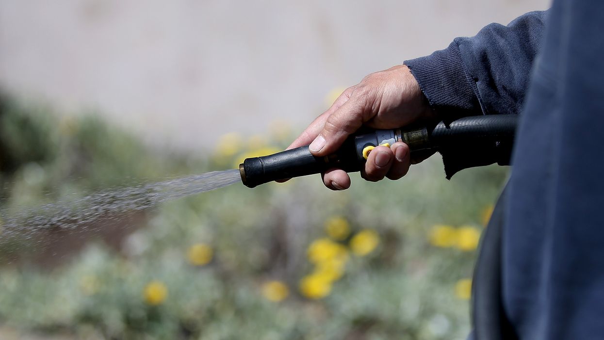 Study suggests gardening might be just as good for health as working out