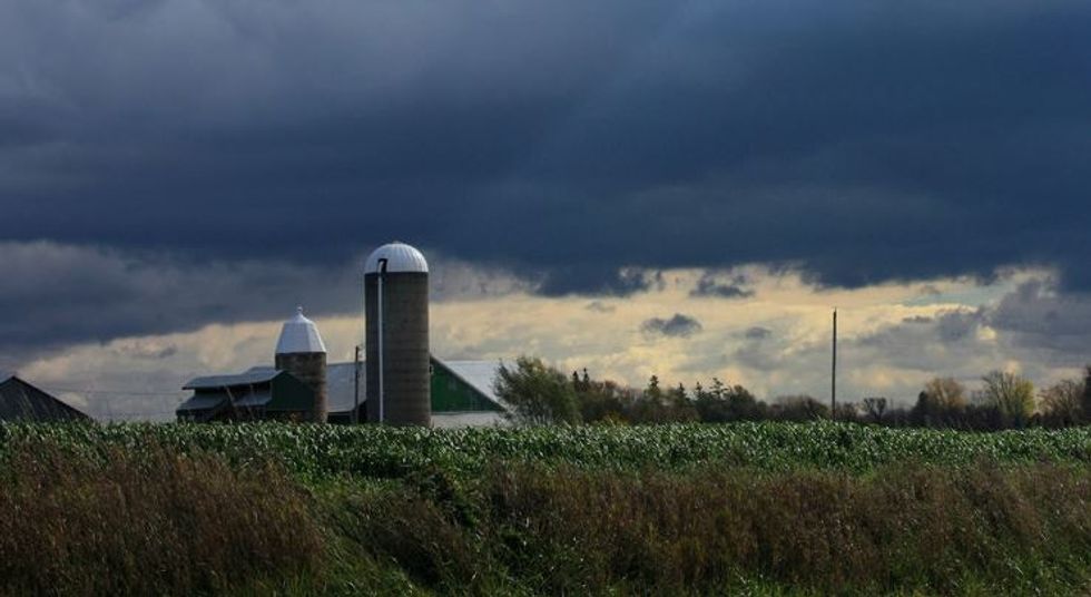 Brilliant innovation finally allows farmers to ditch the pesticides.
