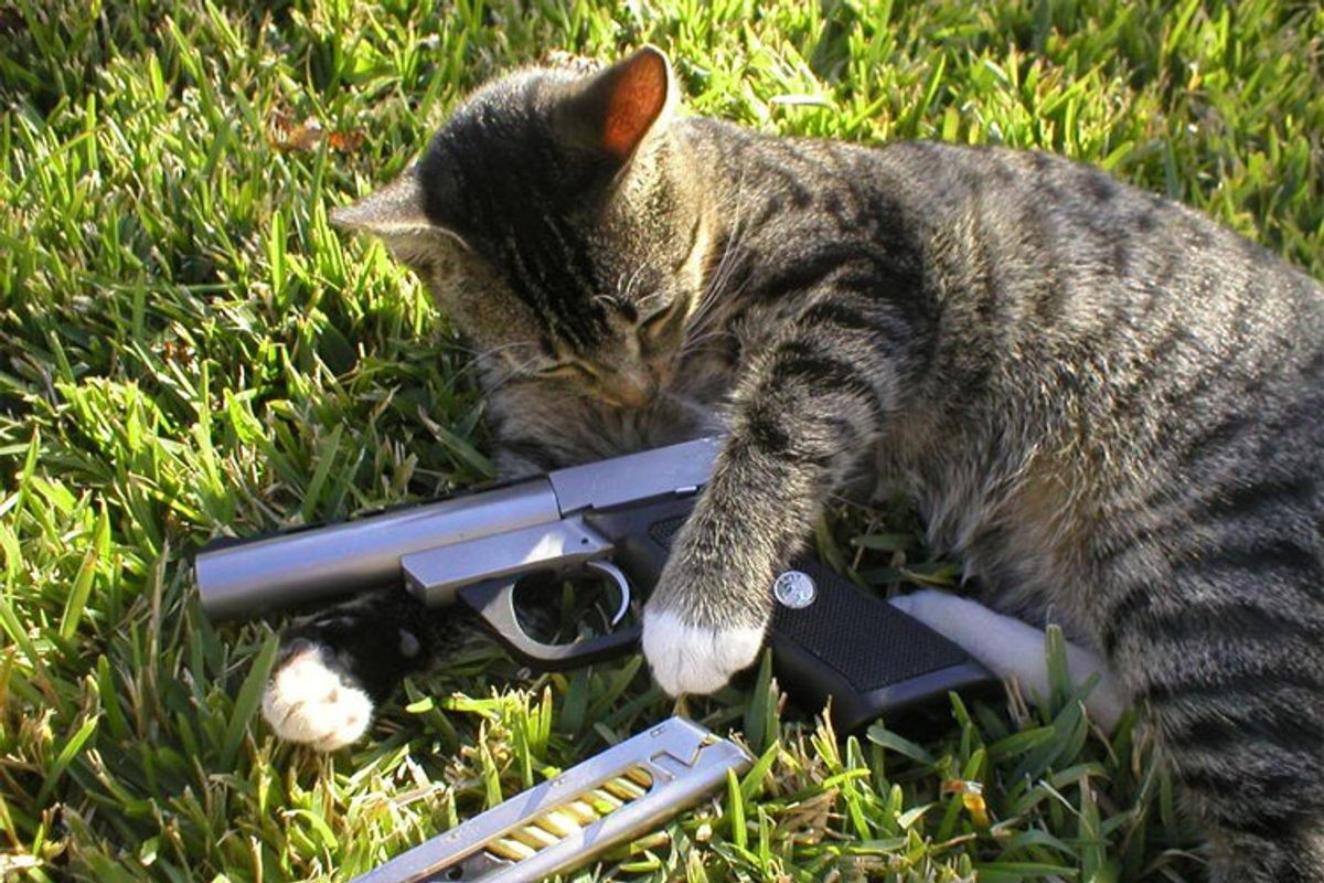 Oh Sh*t Son, Pennsylvania Just Took Your Gun Away (If You Are A Domestic Abuser)