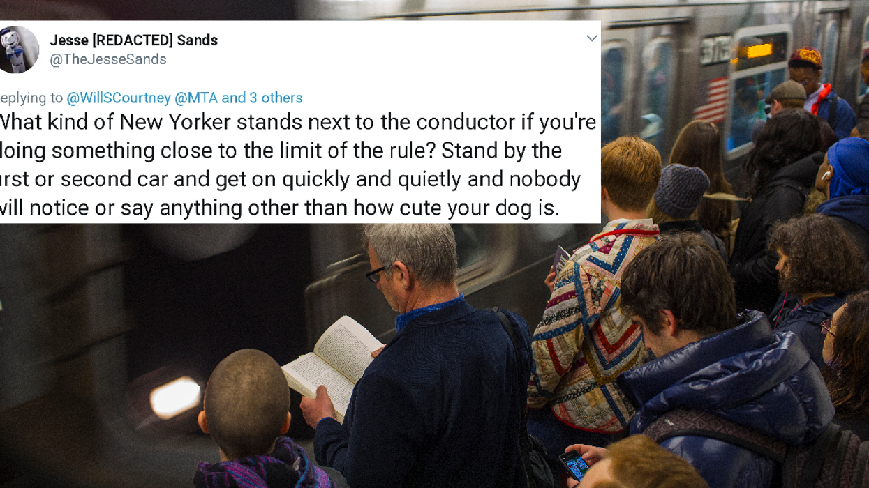 Guy Hilariously Attempts To Bring His Ginormous Dog Onto The Subway In The Tiniest Bag