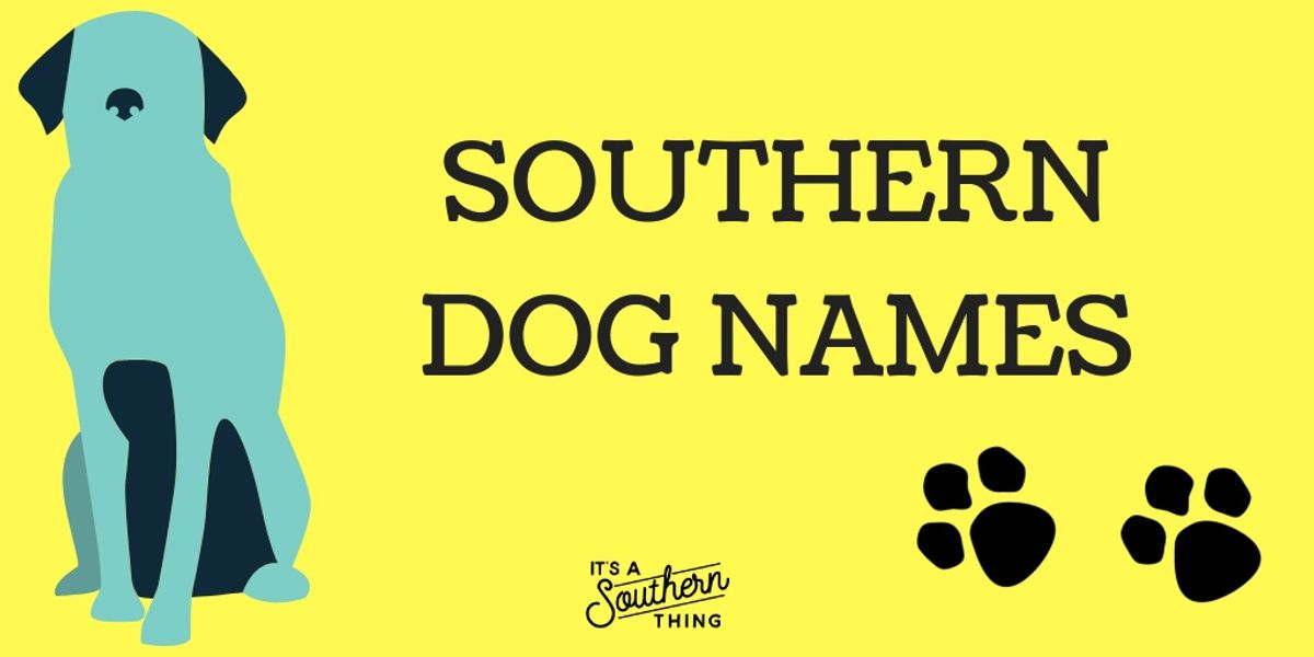 30 Southern dog names we love - It's a Southern Thing