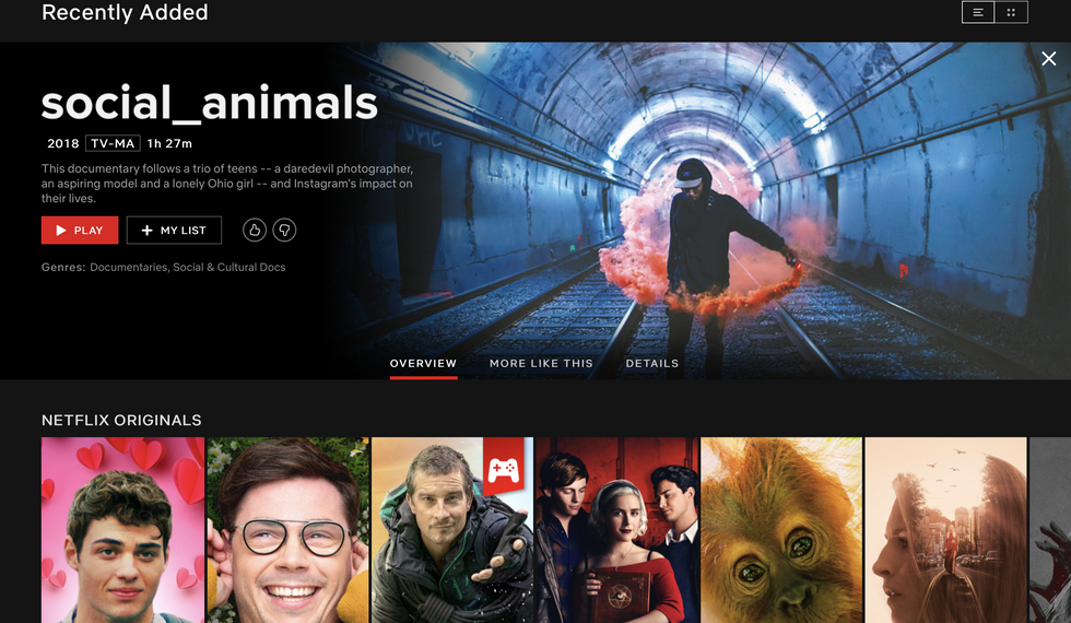 4 Reasons Netflix's 'Social Animals' Is A Must-Watch Documentary 4 Reasons Netflix's 'Social Animals' Is A Must-Watch Documentary