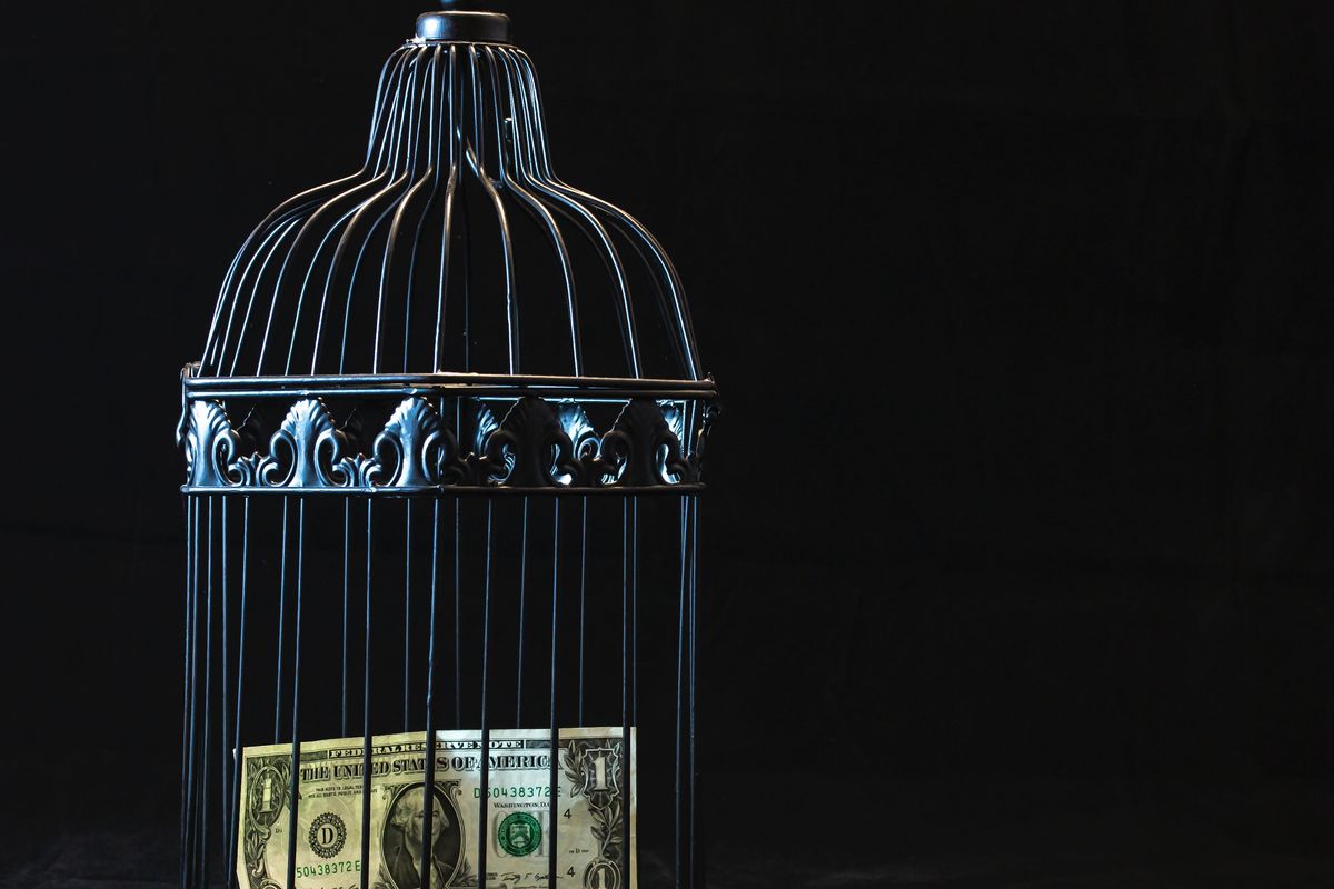 dollar bill in a birdcage