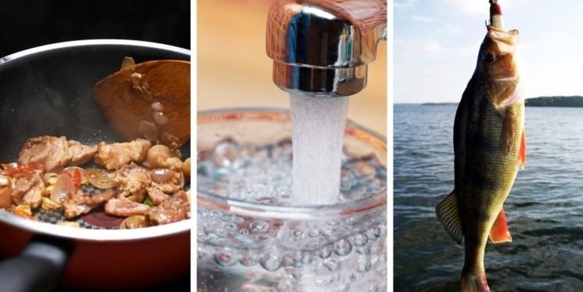 PFAS in Pennsylvania: Impacts and efforts to clean up the chemicals