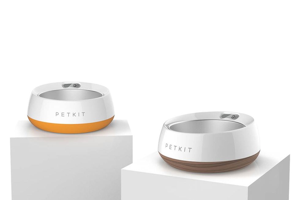 A photo of two PetKit bowls, smart feeders that can be paired with the company's pet tracking device
