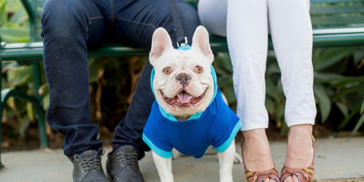 A New Dating App For Dog Lovers Just Launched And We Totally 'Dig' It