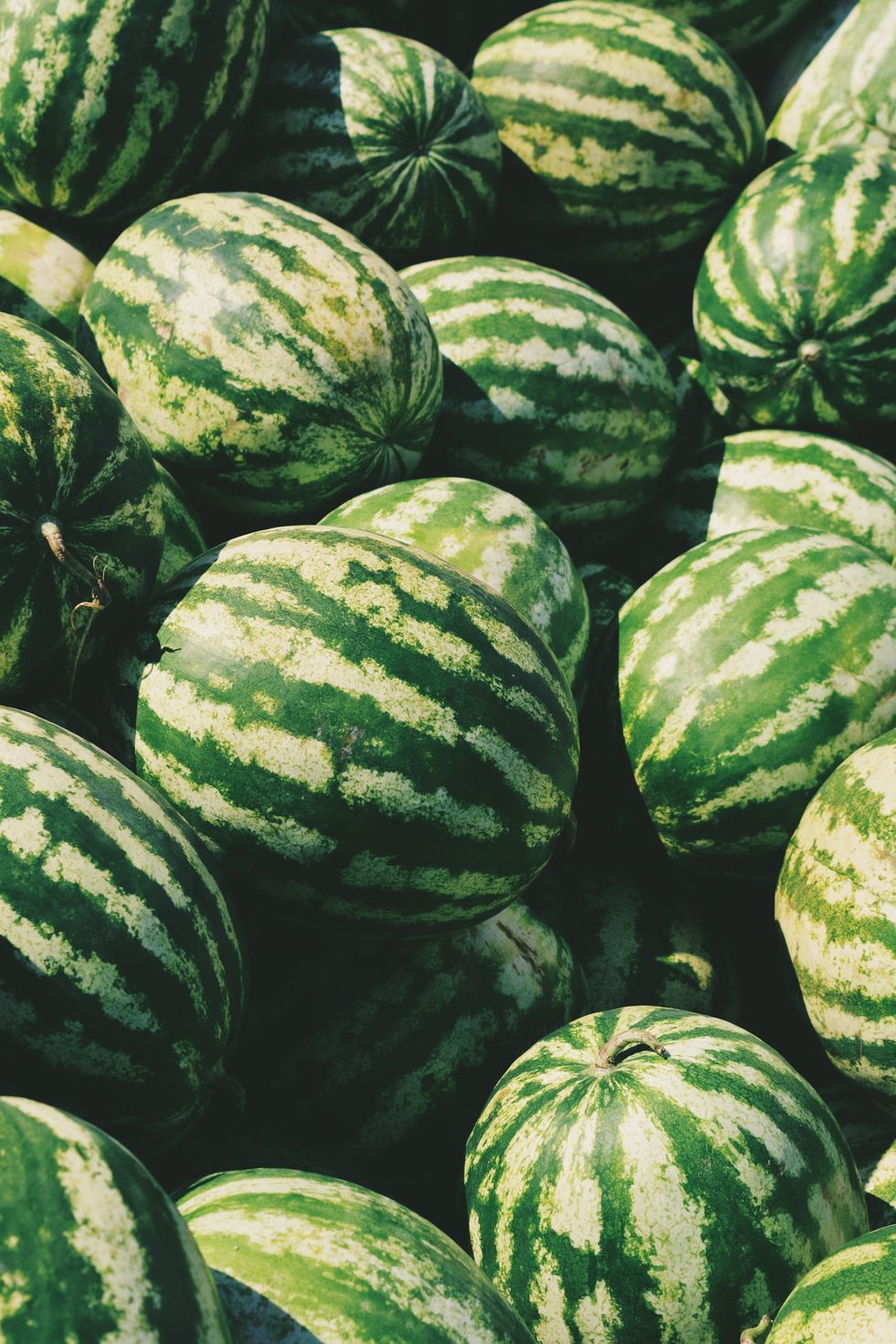 7 Reasons Watermelons Are The Best Fruit, And If You Disagree, You're Bananas