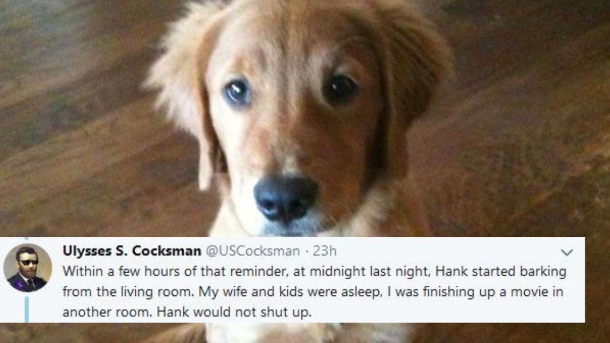 Man Shares Incredible Story About How His Very Good Dog Hank Saved His Family From A Very Close Call