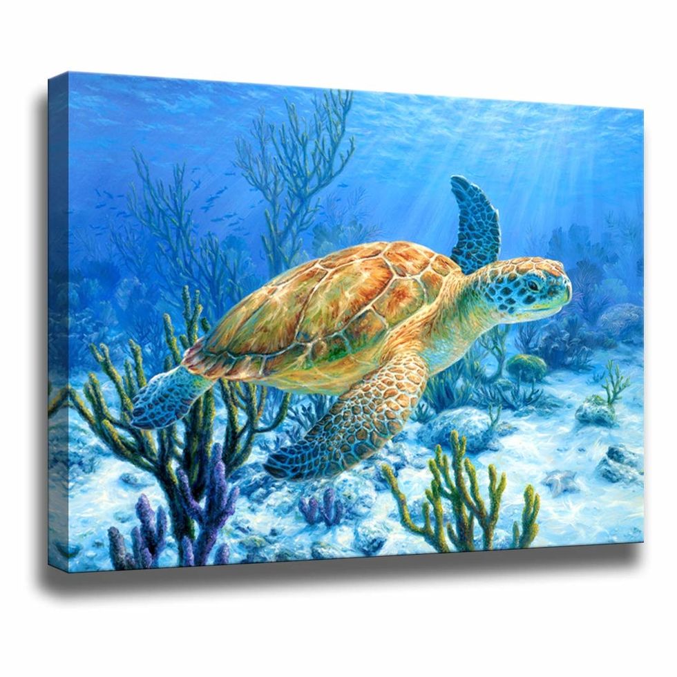 sea turtle bathroom wall art
