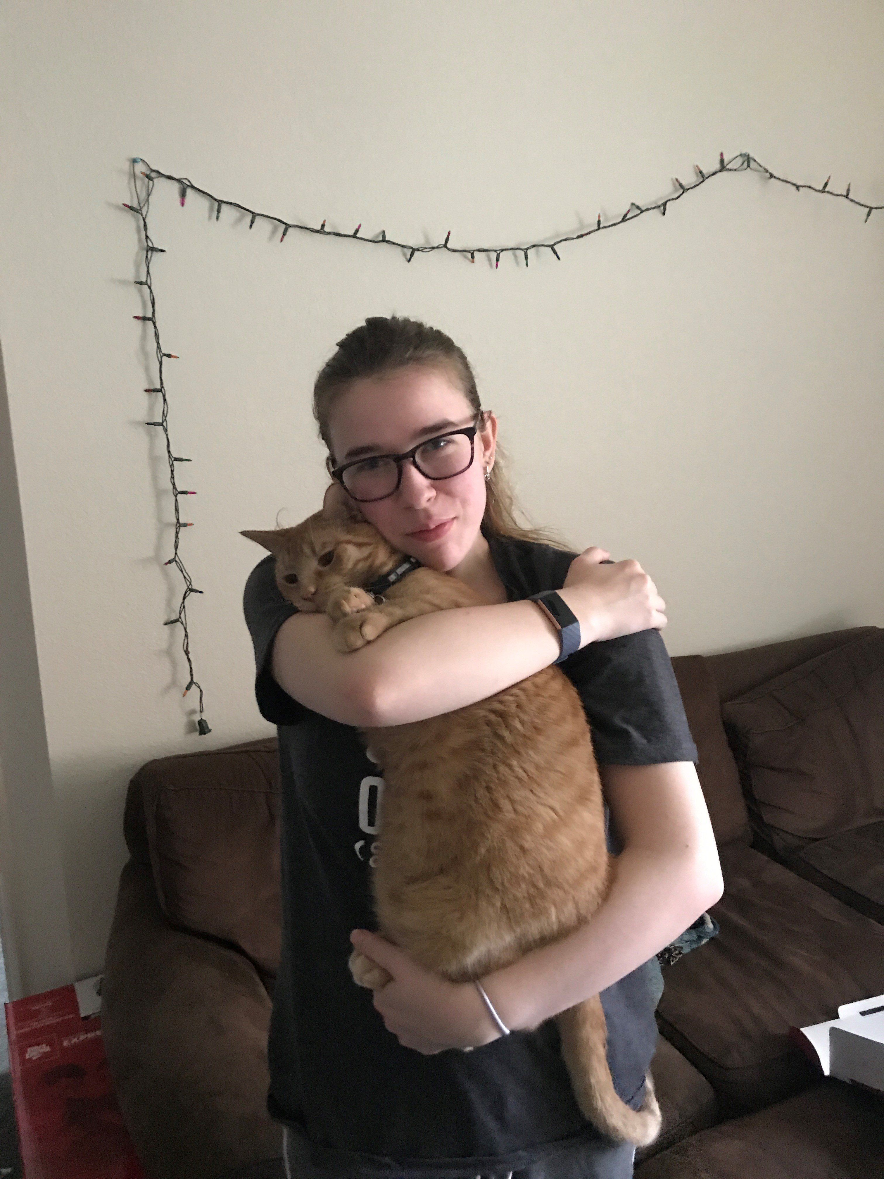 7 reasons cats are the best pet for college students