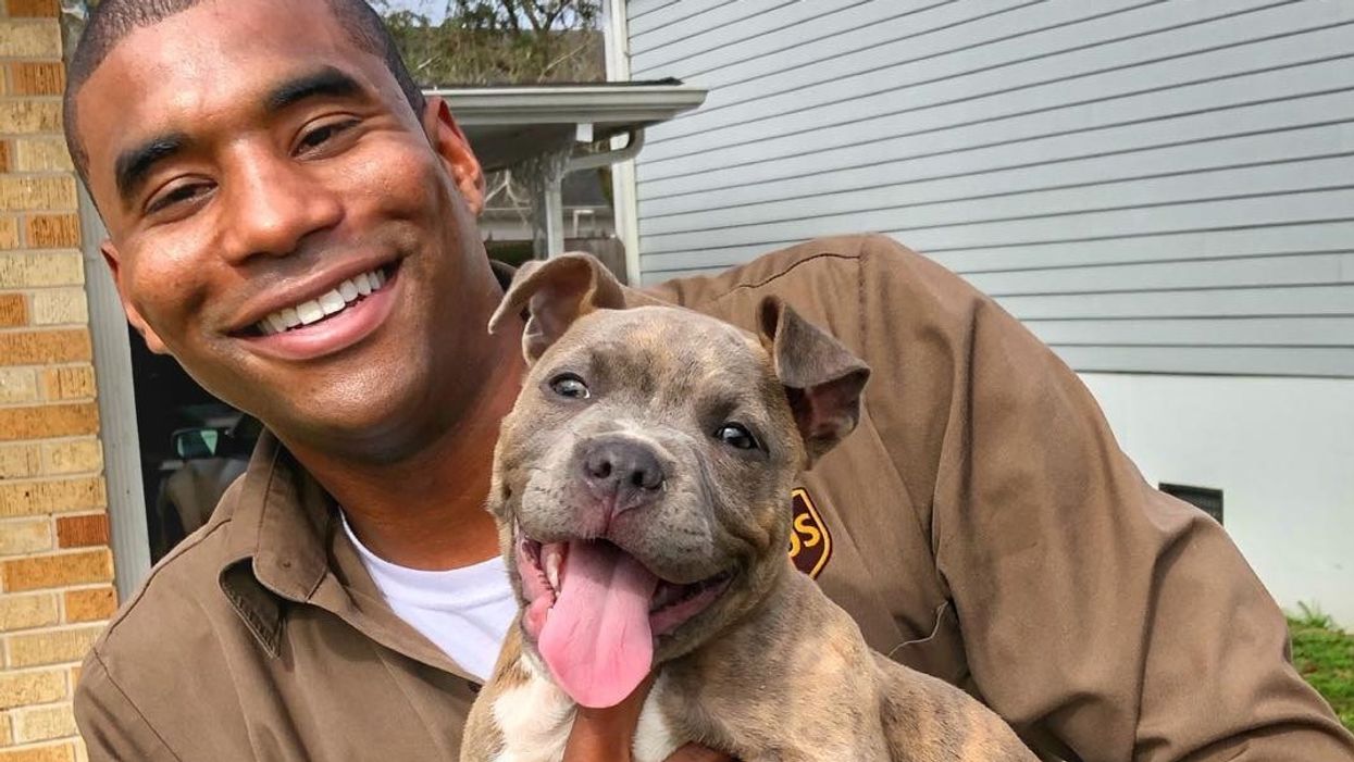 This UPS driver takes pics with dogs on his route, and it's pretty great
