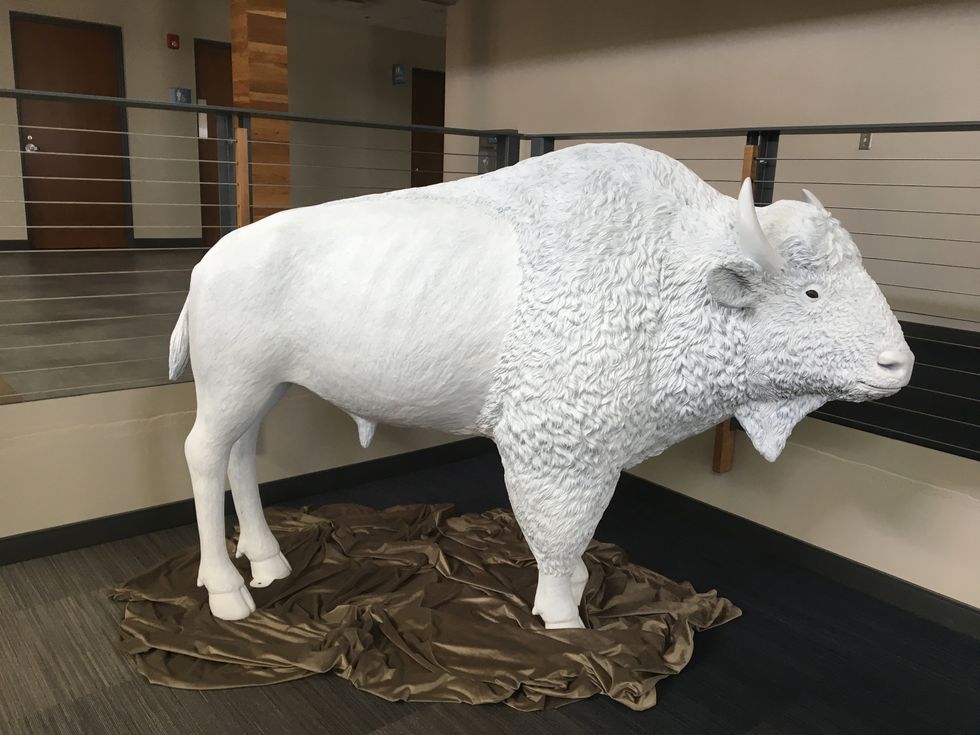 Beautiful Bartlesville Buffalo Statues