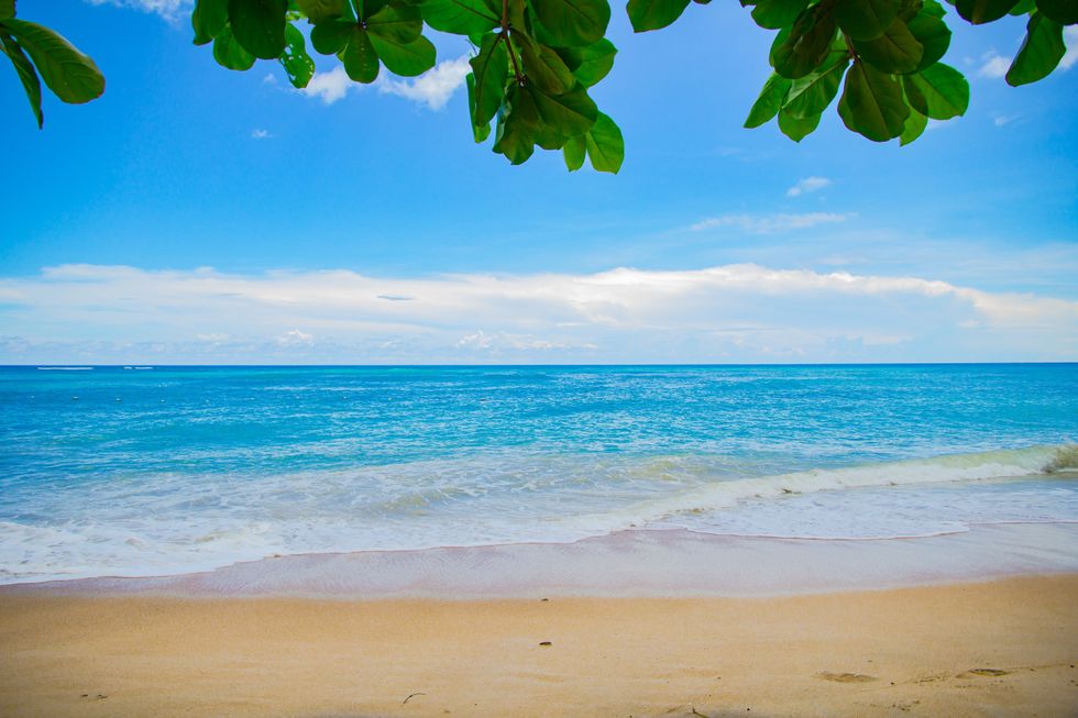 What College Girls Remember from their Summers as a Kid