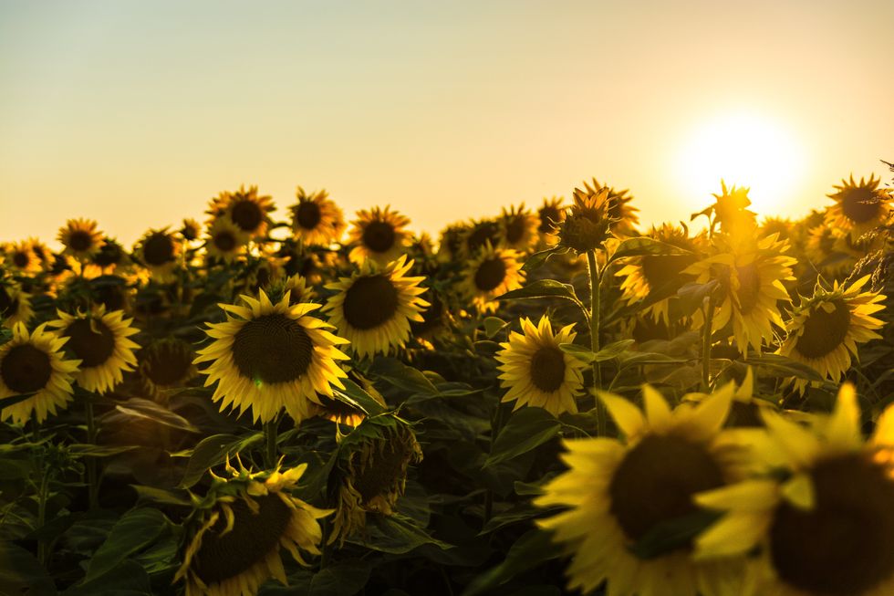 https://publicdomainpictures.net/en/view-image.php?image=170523&picture=sun-clouds-blue-sky